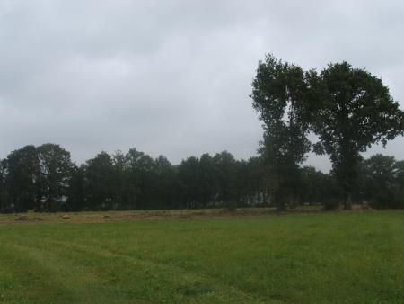 Terrain sans les ch&ecirc;nes 1